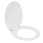 Assento Convencional Polipropileno Apolo Fechamento Comum Branco Sensea