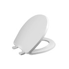 Assento Sanitário Convencional Polipropileno Branco Tupan