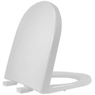 Assento Sanitário Riviera Smart Ou Nexo Em Resina Termofixa Com Fechamento Convencional Cinza Prata Tupan