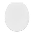 Assento Sanitário Convencional com Soft Close Oval Polipropileno Branco Sicmol