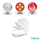 Assento Sanitario Deca Aspen Fast Santa Clara Alamo Lorenone