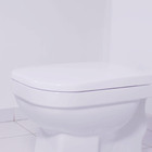Assento Sanitário Deca Living Pp Branco Gelo
