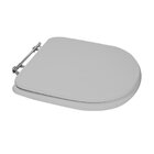 Assento Sanitário Duomo Plus Deca Aço Cinza Real