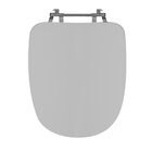 Assento Sanitário Duomo Plus Deca Aço Cinza Real