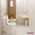 Assento Sanitário Elevado Com Trava E Assento Tpk 7 Cm Astra