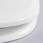 Assento Sanitário Etna Plástico Branco Tupan