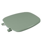 Assento Sanitário Formatos Plástico Água Marinha Fechamento Comum