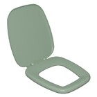 Assento Sanitário Formatos Plástico Água Marinha Fechamento Comum