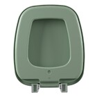 Assento Sanitário Formatos Plástico Água Marinha Fechamento Comum