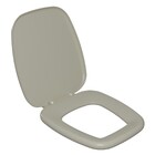Assento Sanitário Formatos Plástico Cinza Prata Fechamento Comum