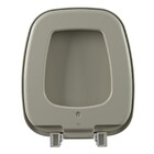 Assento Sanitário Formatos Plástico Cinza Prata Fechamento Comum