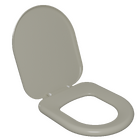 Assento Sanitário Formatos com Fechamento Comum Orgânico Plástico Cinza Astra