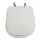 Assento Sanitário Formatos Poliéster Branco Fechamento Comum