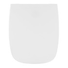 Assento Sanitário Helios Poliéster Branco Policlass