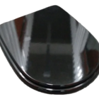 Assento Sanitário Laqueado Luna Para Icasa Preto Sicmol