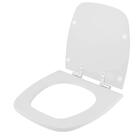 Assento Sanitário Laqueado Soft Close Fit Cinza Prata (cinza