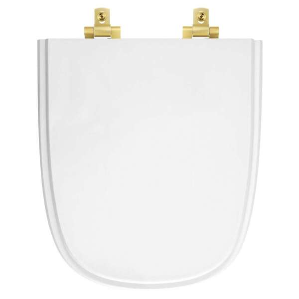 Assento Sanitário Laqueado Soft Close Ibiza Branco Para Vaso