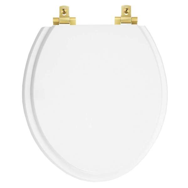 Assento Sanitário Laqueado Soft Close Oval Branco Para Todas