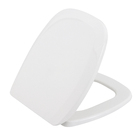 Assento Sanitário Like Polipropileno Fechamento Comum Branco Sensea