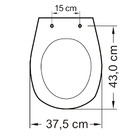 Assento Sanitário Lorenone Pp Soft Close Branco Gelo