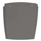 Assento Sanitario Nuage Cinza Ambar Para Vaso Incepa