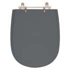 Assento Sanitario Paris Cinza Quartzo Para Vaso Ideal Standard