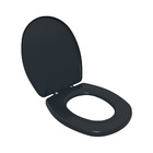 Assento Sanitário Plástico Astra Tas/k Almofadado Preto