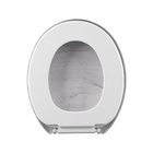 Assento Sanitário Plástico Astra Tpjm Marmorizado Anatômico B