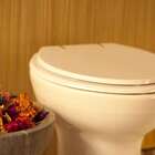 Assento Sanitario Poliester Azalea Marfim (bege) Para Vaso Ce