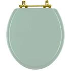 Assento Sanitario Poliéster Convencional Universal Oval Verde