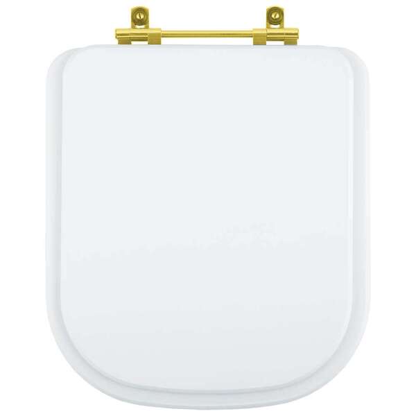 Assento Sanitário Poliéster Gap Branco Para Vaso Roca Com Fer