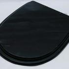 Assento Sanitário Poliester Luna Preto Clean Para Icasa