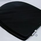 Assento Sanitário Poliester Luna Preto Clean Para Icasa