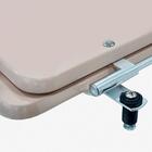 Assento Sanitário Poliéster Oval Pêssego