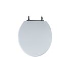 Assento Sanitário Poliéster Para Louça Colonial (hervy) Aço (