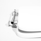 Assento Sanitário Poliéster Para Louça Duomo Plus (deca) Aço