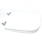 Assento Sanitário Poliéster Para Louça Elite (celite) Slow Cl