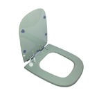Assento Sanitário Poliéster Para Louça Ibiza (reb. Aparente)