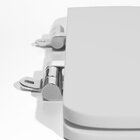 Assento Sanitário Poliéster Para Louça Life/vogue Plus (celit