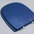 Assento Sanitário Poliester Sabatini Azul Clean