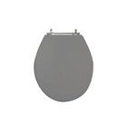 Assento Sanitário Ravena/izy Deca Aço Cinza Vip