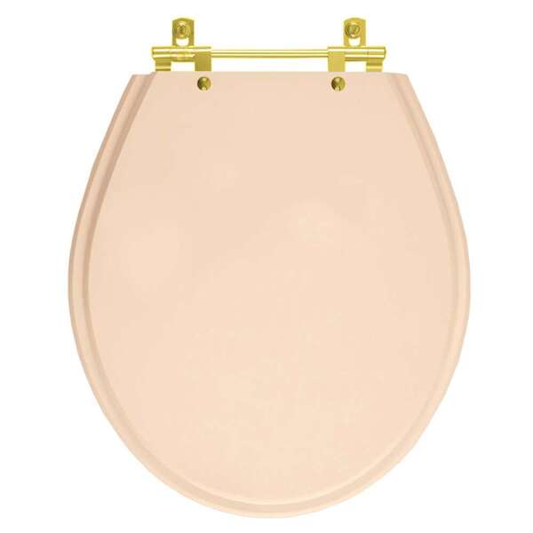 Assento Sanitário Ravena Rosa Floral Para Vaso Deca Com Ferra