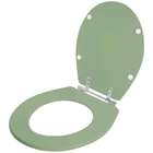 Assento Sanitário Ravena Verde Malva Para Vaso Deca