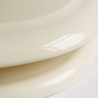 Assento Sanitário Sabatini Plástico Palha Tupan