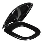 Assento Sanitário Sabatini Termofixo Preto Tupan