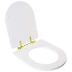 Assento Sanitário Smart Branco Para Vaso Celite Com Ferragem