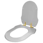 Assento Sanitário Soft Close Ibiza Cinza Platina Para Vaso In