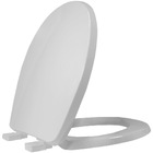 Assento Sanitário Universal  Oval Evolution Em Resina Termofixa Com Fechamento Suave Soft Close Cinza Prata Tupan