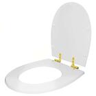 Assento Sanitário Soft Close Polo Branco Para Vaso Hervy Com