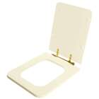 Assento Sanitário Square Shell Para Vaso Incepa Com Ferragem